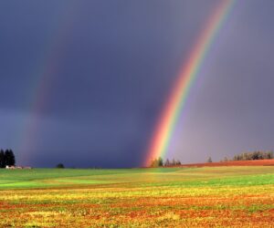 Ideale Tosti 작곡 이탈리아 가곡 읽는 법과 추천음악