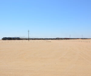 헷갈리는 빠르기 말! 합창 교과서 14