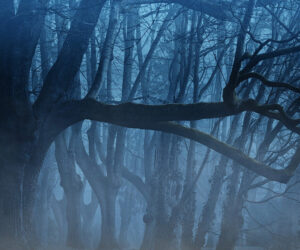 Nebbie 안개 Respighi작곡 이탈리아 가곡 발음 가사와 해석