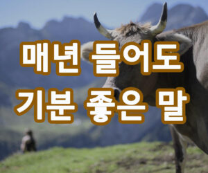 저 합격했어요 매년 들어도 기분 좋은 말