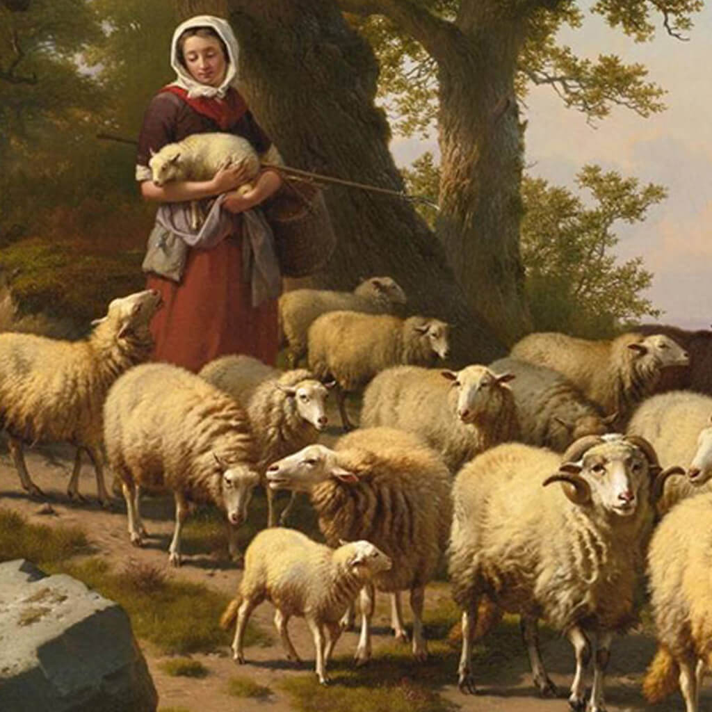 La pastorella delle Alpi