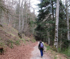 Selve amiche 친구인 숲이여 발음과 가사 해석