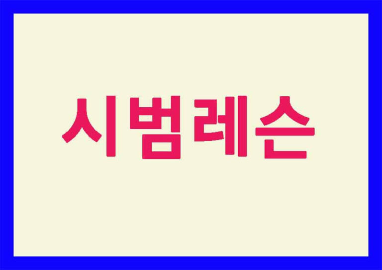 시범레슨