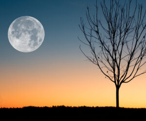 Vaga luna che inargenti 방랑하는 은빛 달이여 발음과 가사 해석