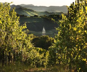 Cangia cangia tue voglie Fasolo곡 이탈리아어 딕션 음악 듣기